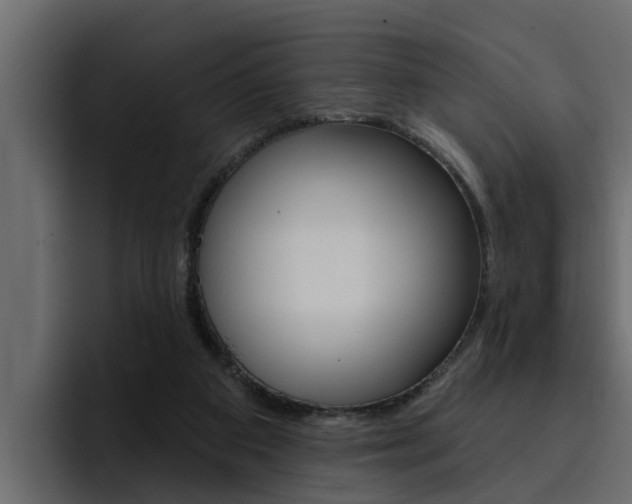 X0000095550113200712140943