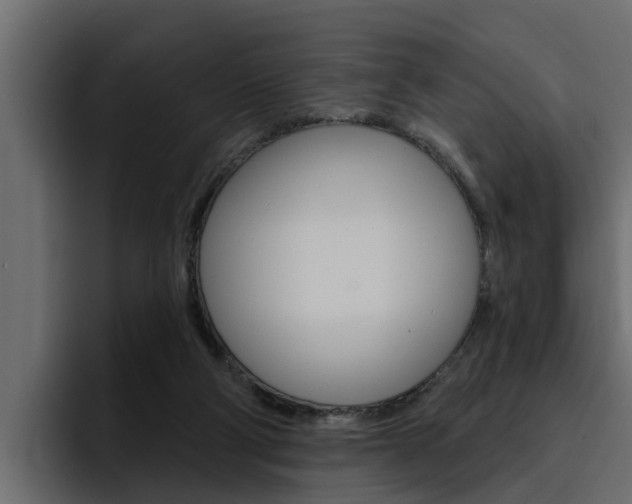 X0000095550114200712140943
