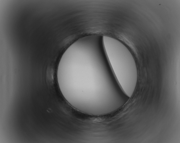X0000095550115200712140943