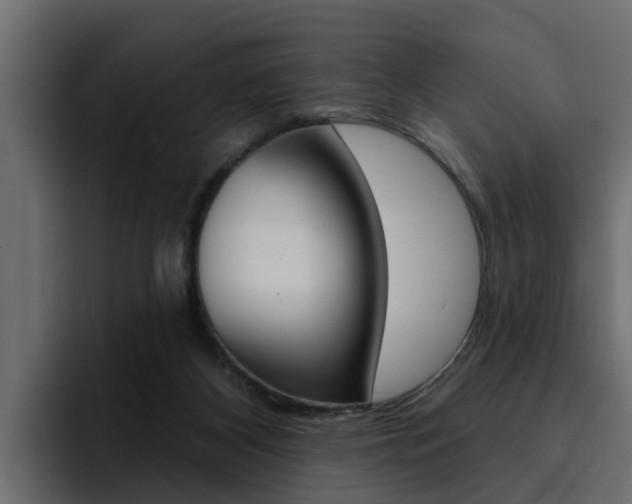 X0000095550116200712140943