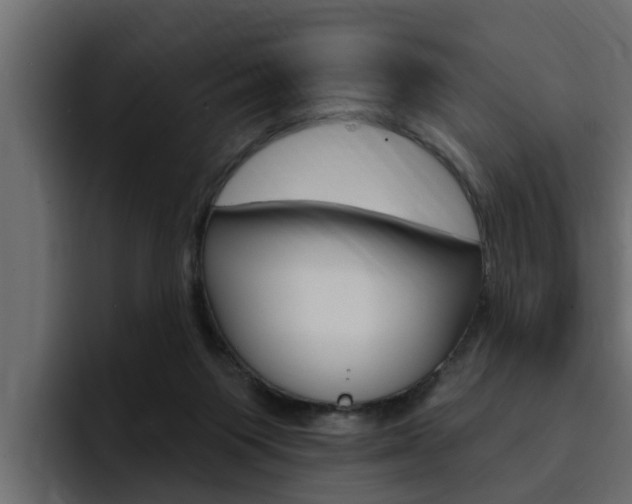 X0000095550119200712140943