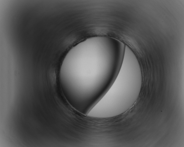 X0000095550120200712140943