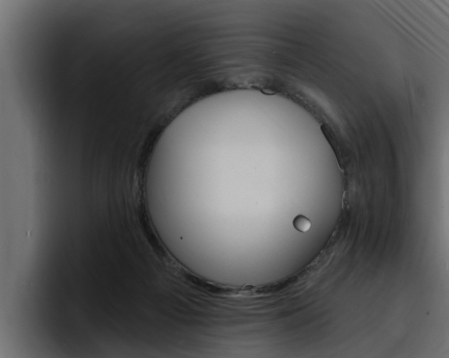 X0000095550121200712140943