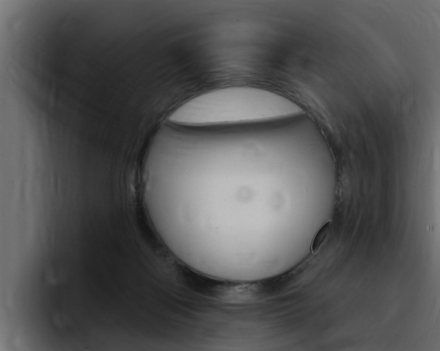 X0000095550122200712140943
