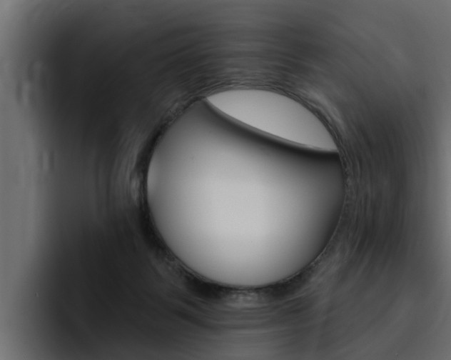 X0000095550123200712140943