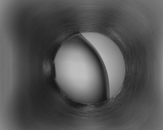 X0000095550124200712140943