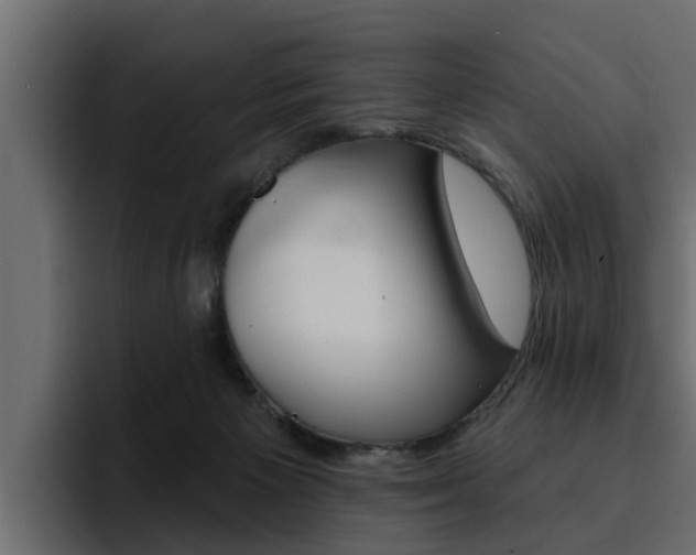 X0000095550125200712140943