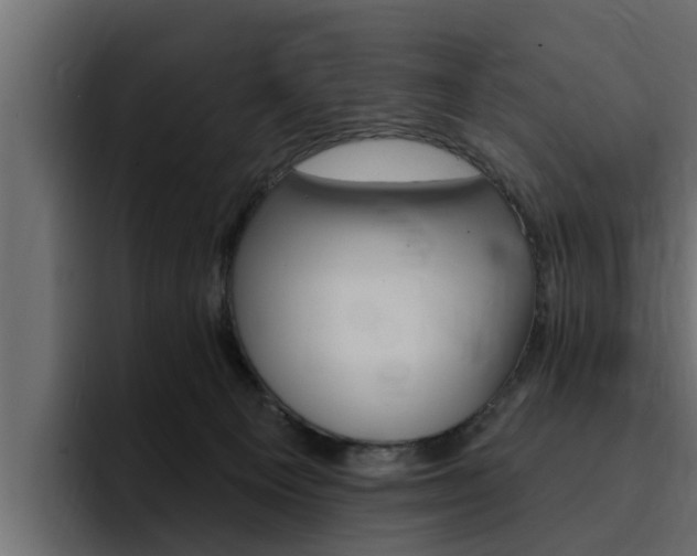 X0000095550129200712140943