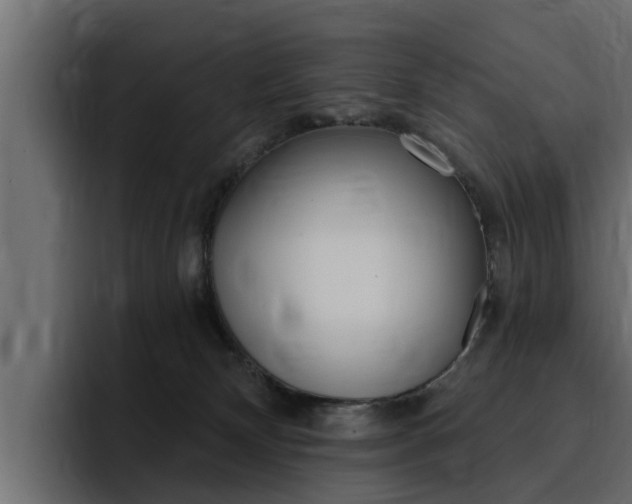 X0000095550132200712140943