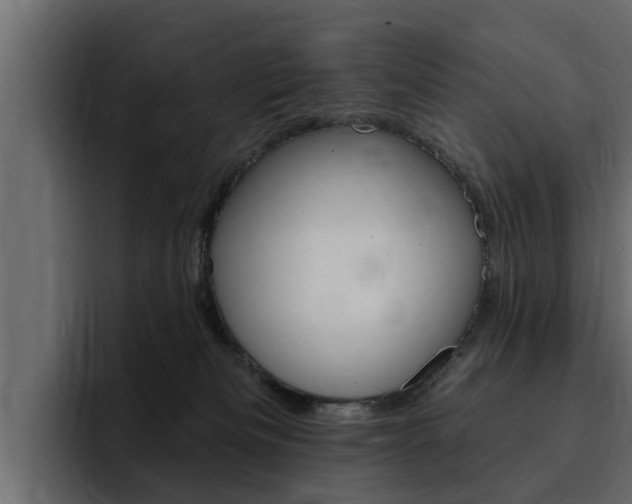 X0000095550133200712140943