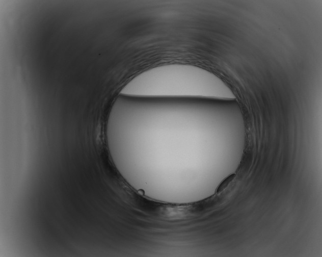 X0000095550134200712140943