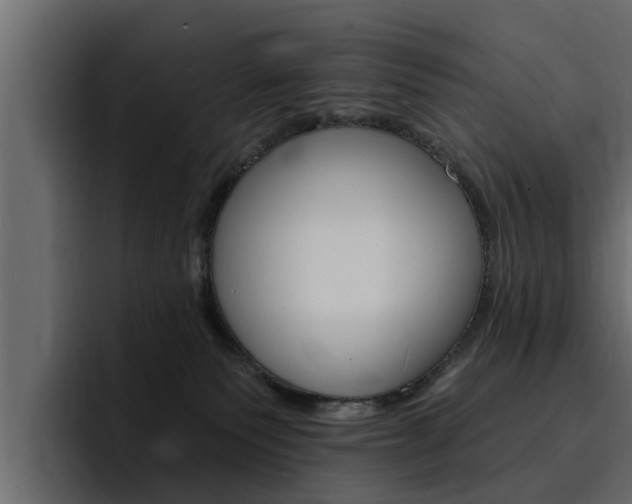 X0000095550135200712140943