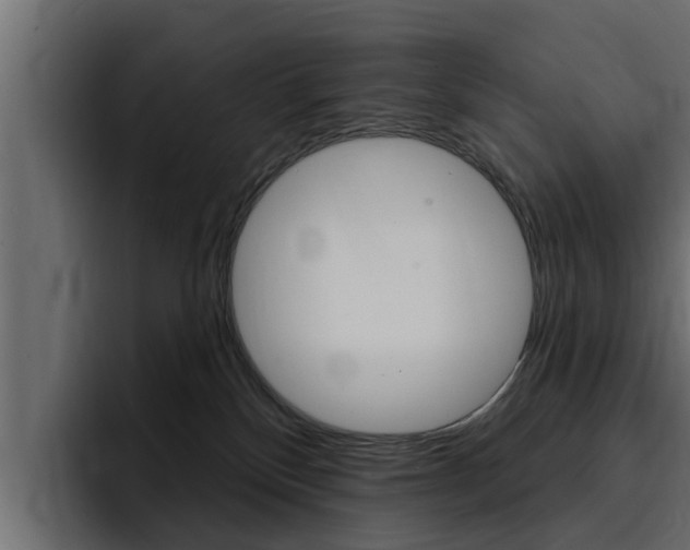 X0000095550136200712140943