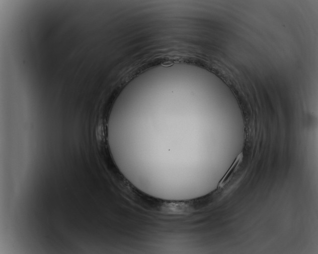X0000095550137200712140943