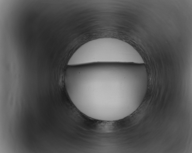 X0000095550138200712140943