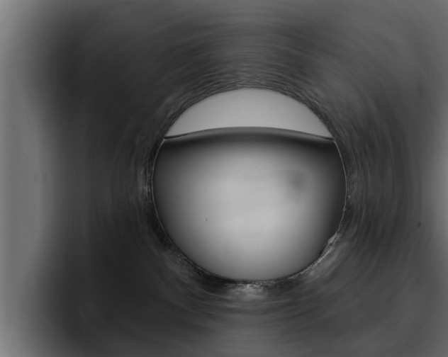 X0000095550140200712140943