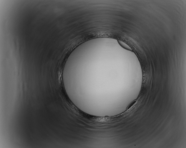 X0000095550142200712140943