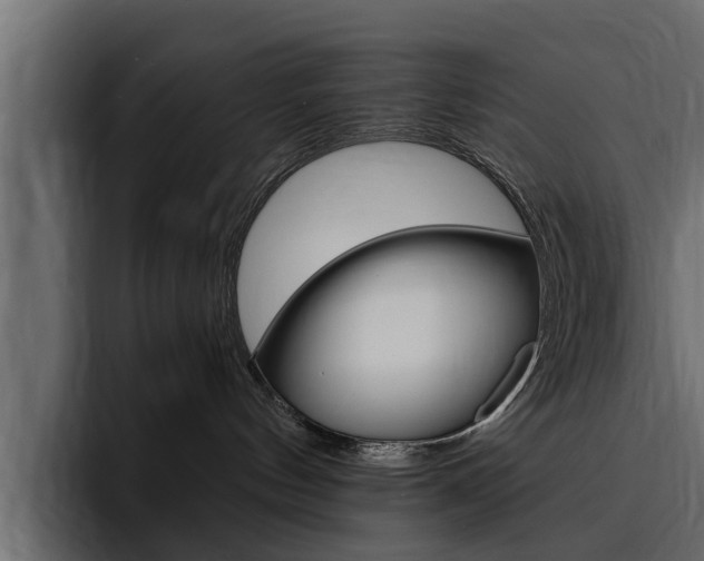 X0000095550144200712140943