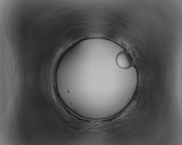 X0000095550145200712140942
