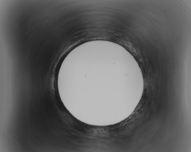 X0000095550146200712140942