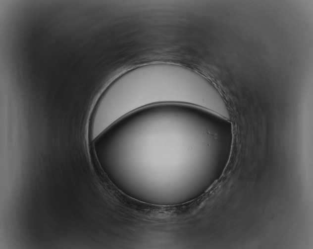 X0000095550148200712140942