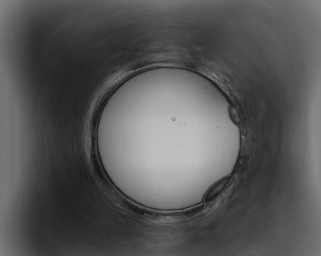 X0000095550149200712140942