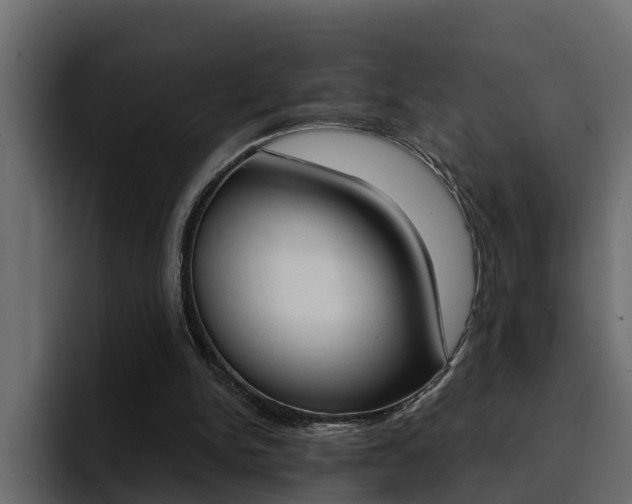 X0000095550150200712140942