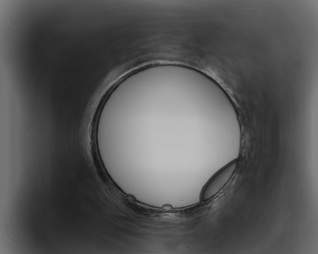 X0000095550151200712140942