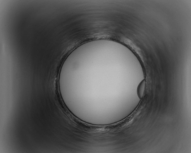 X0000095550153200712140942