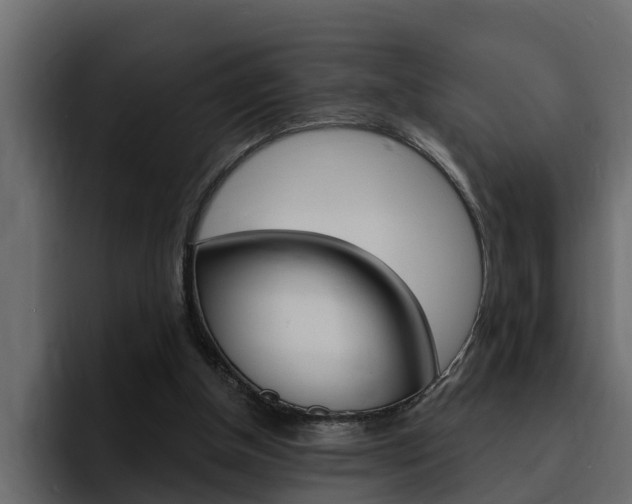 X0000095550154200712140942