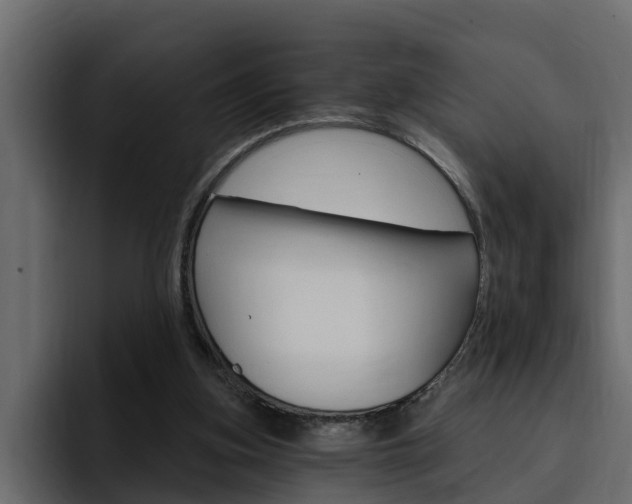 X0000095550155200712140942