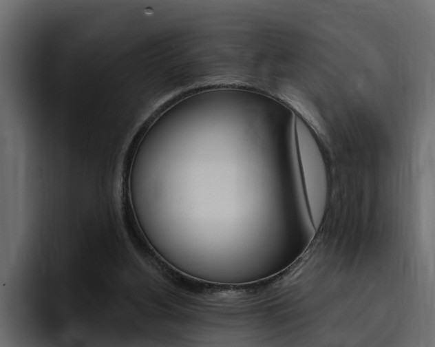 X0000095550156200712140942