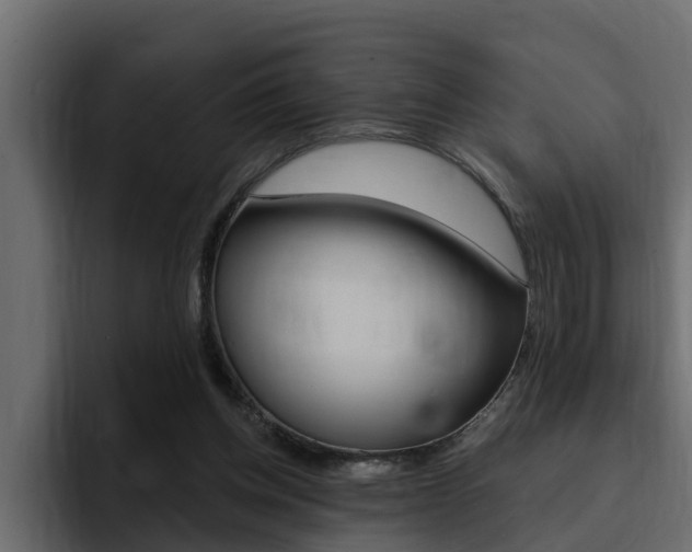 X0000095550158200712140942
