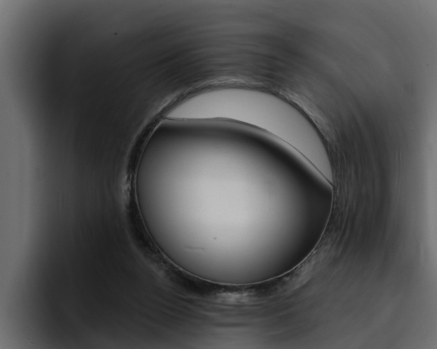 X0000095550160200712140942