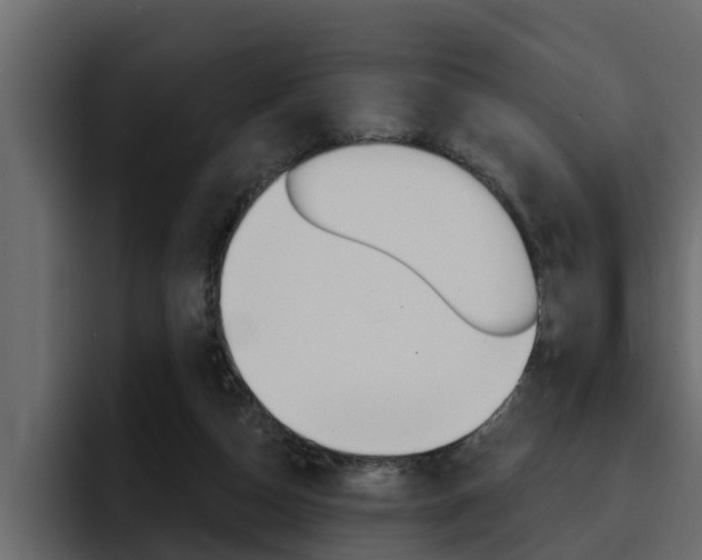 X0000095550162200712140942
