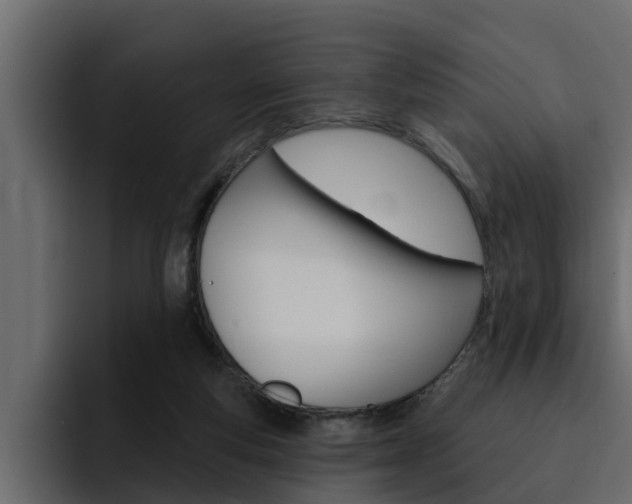 X0000095550163200712140942