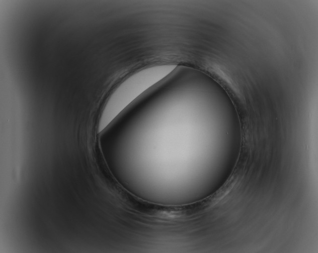 X0000095550164200712140942