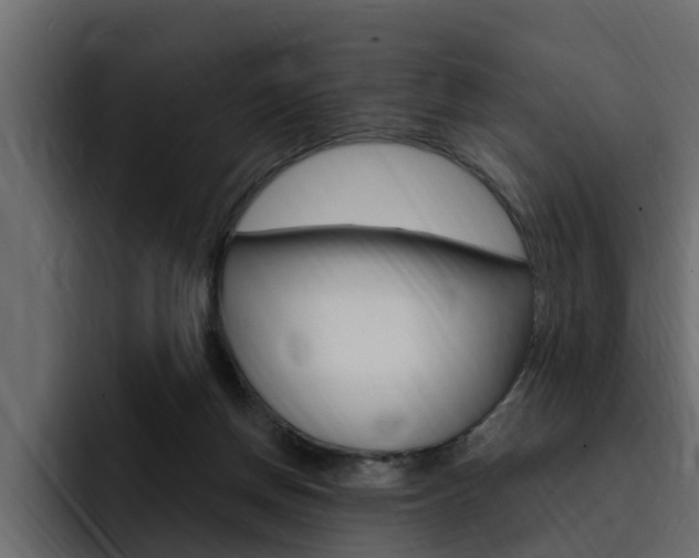 X0000095550166200712140942