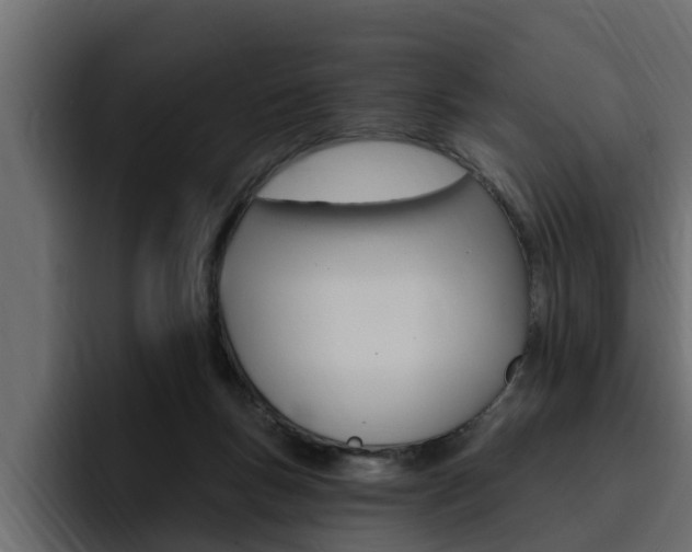 X0000095550167200712140942