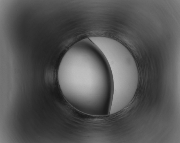 X0000095550168200712140942