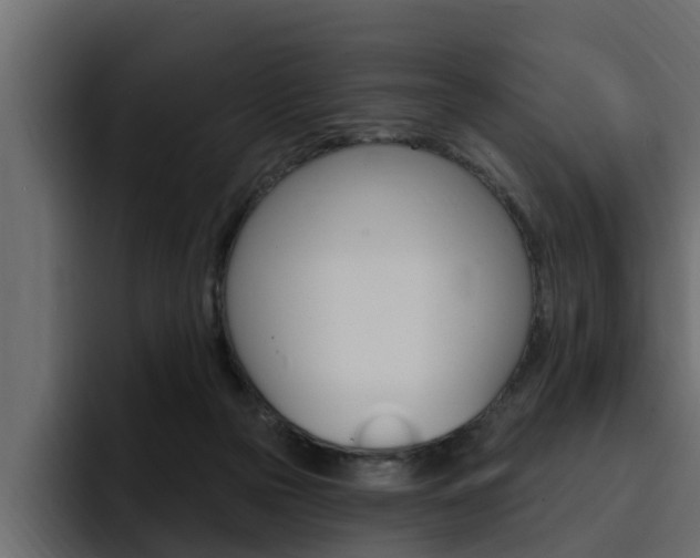 X0000095550169200712140942