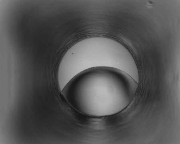X0000095550170200712140942