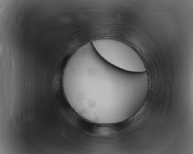 X0000095550171200712140942