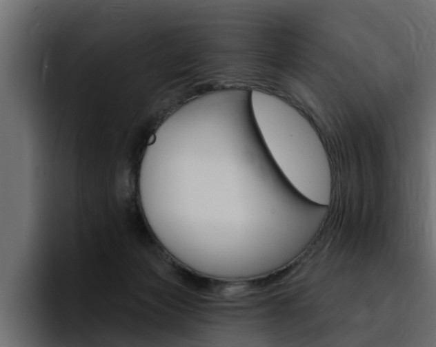 X0000095550173200712140942