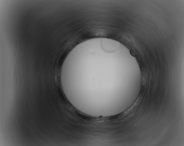 X0000095550175200712140942