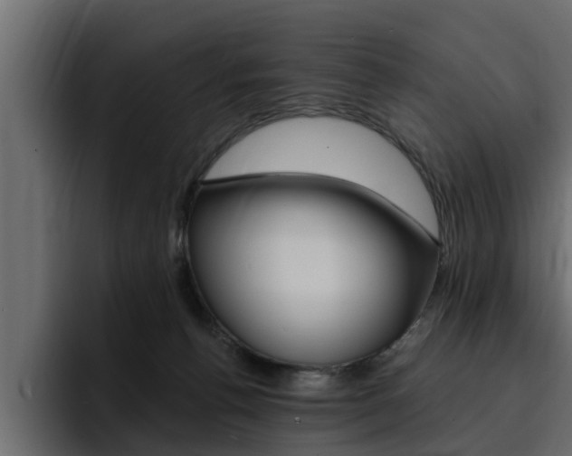 X0000095550176200712140942