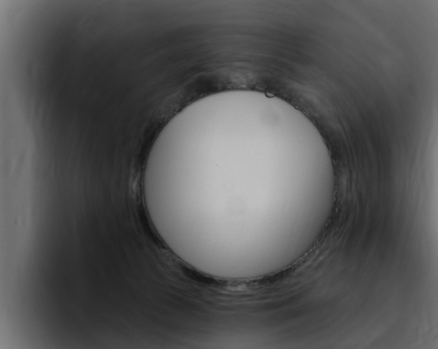 X0000095550177200712140942