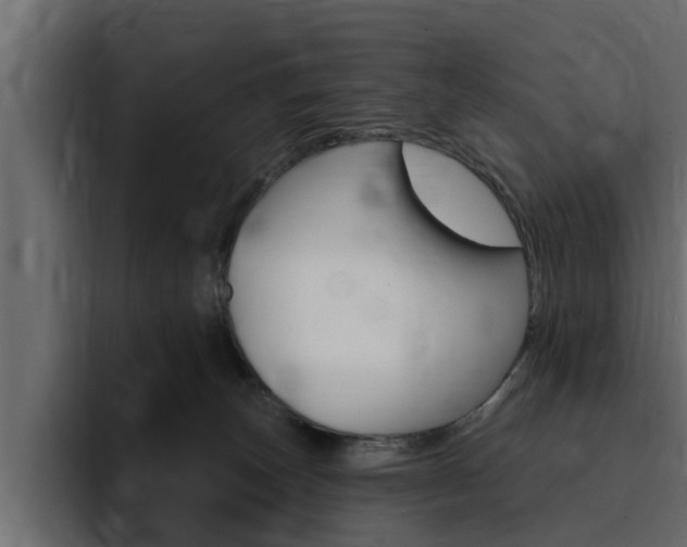 X0000095550179200712140943