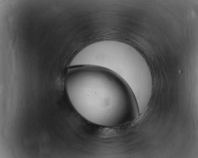 X0000095550180200712140943