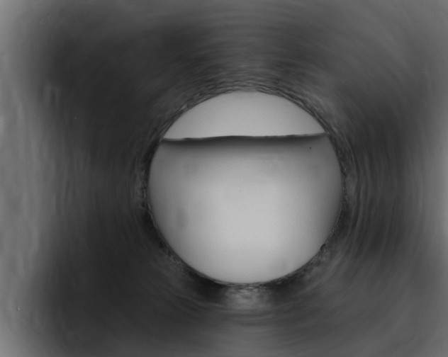X0000095550181200712140943